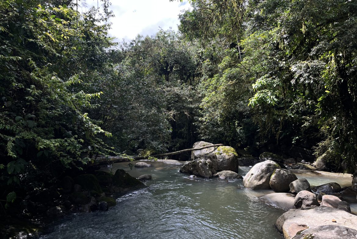 BUILDING JUNGLE PROPERTY NEAR A CREEK, IN TRINIDAD ZAPOTE – 2.47 ACRES