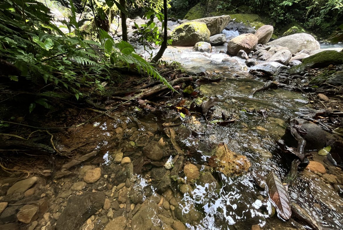 BUILDING JUNGLE PROPERTY NEAR A CREEK, IN TRINIDAD ZAPOTE – 2.47 ACRES