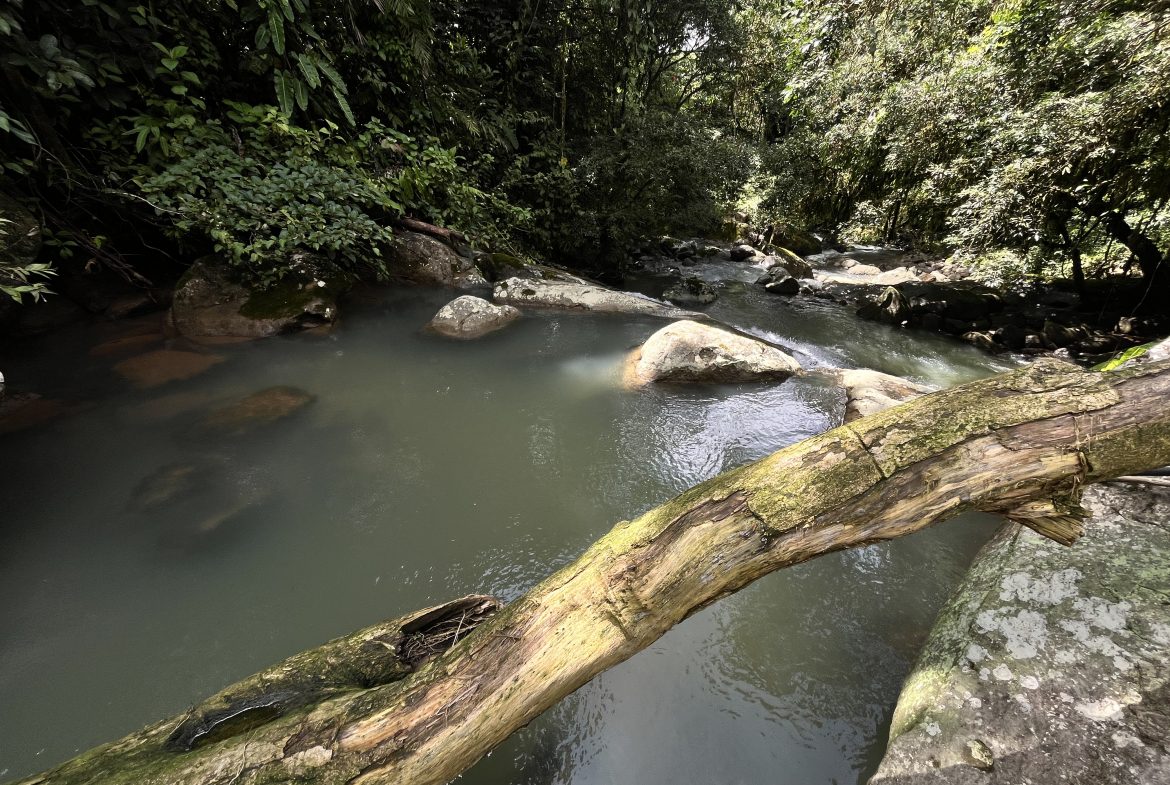 BUILDING JUNGLE PROPERTY NEAR A CREEK, IN TRINIDAD ZAPOTE – 2.47 ACRES