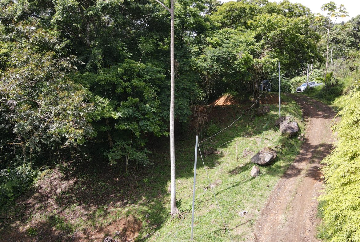 BUILDING JUNGLE PROPERTY NEAR A CREEK, IN TRINIDAD ZAPOTE – 2.47 ACRES