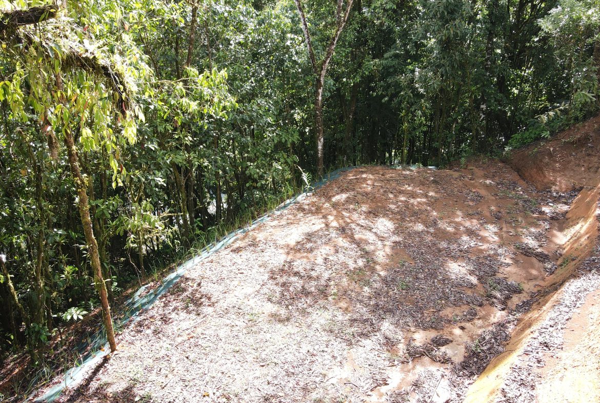 BUILDING JUNGLE PROPERTY NEAR A CREEK, IN TRINIDAD ZAPOTE – 2.47 ACRES