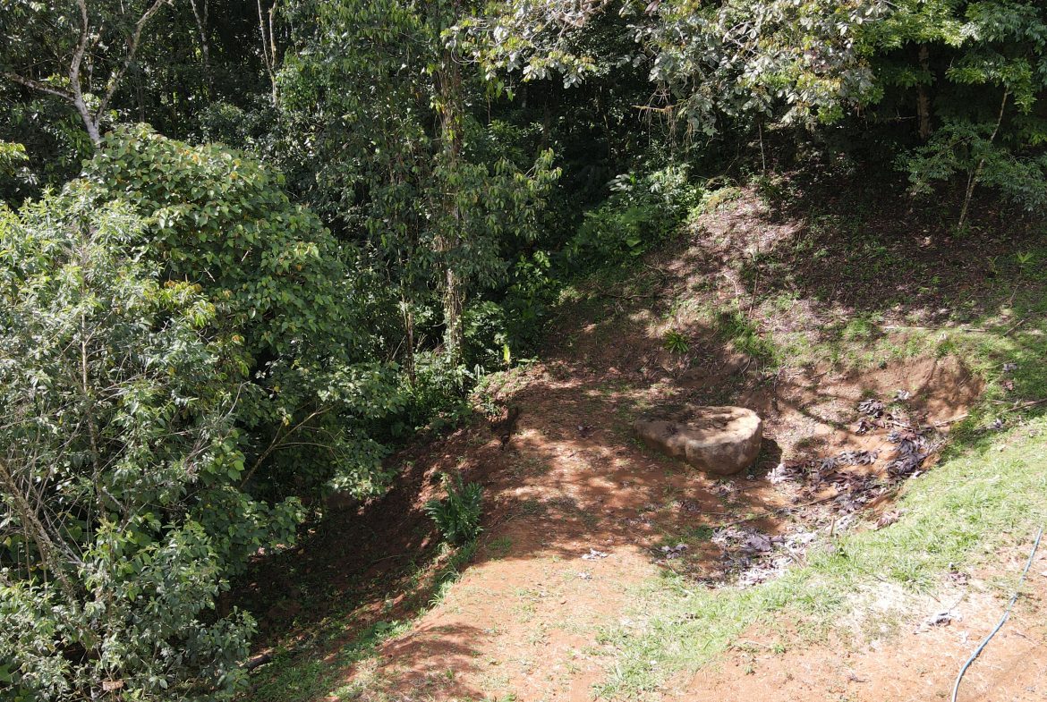 BUILDING JUNGLE PROPERTY NEAR A CREEK, IN TRINIDAD ZAPOTE – 2.47 ACRES