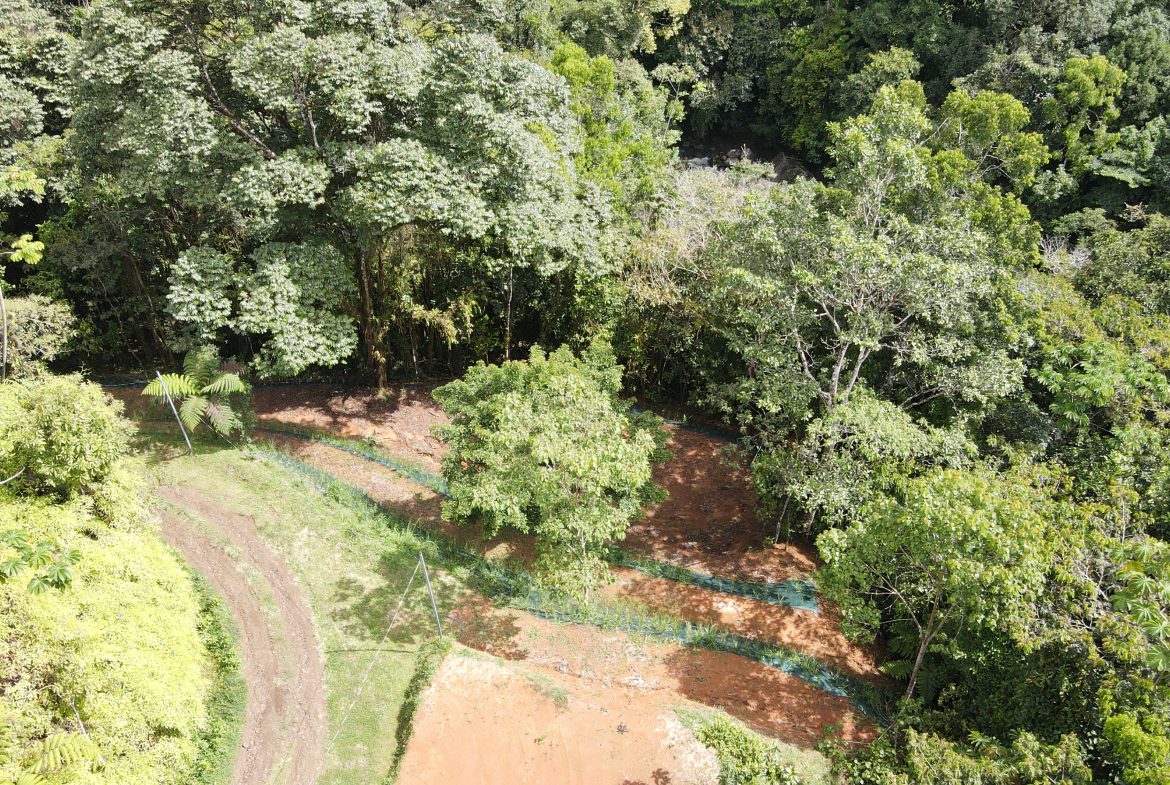 BUILDING JUNGLE PROPERTY NEAR A CREEK, IN TRINIDAD ZAPOTE – 2.47 ACRES