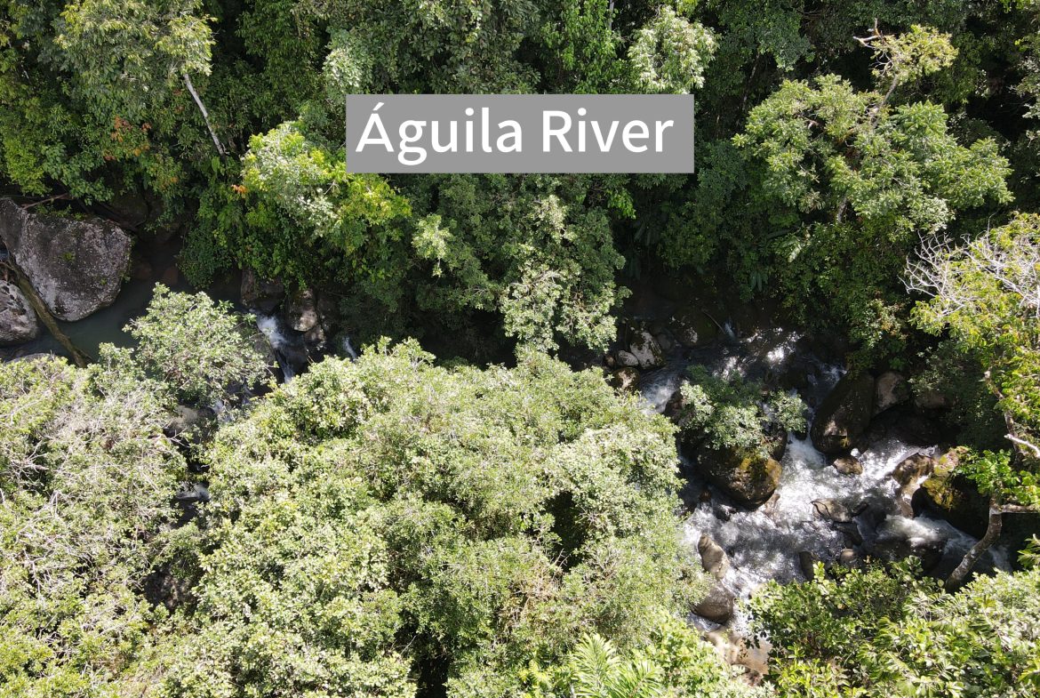 BUILDING JUNGLE PROPERTY NEAR A CREEK, IN TRINIDAD ZAPOTE – 2.47 ACRES