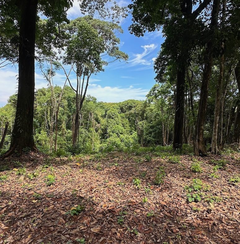 BUILDING PROPERTY WITH CREEK AND MOUNTAIN VIEWS, IN DOMINICAL – 8.8 ACRES