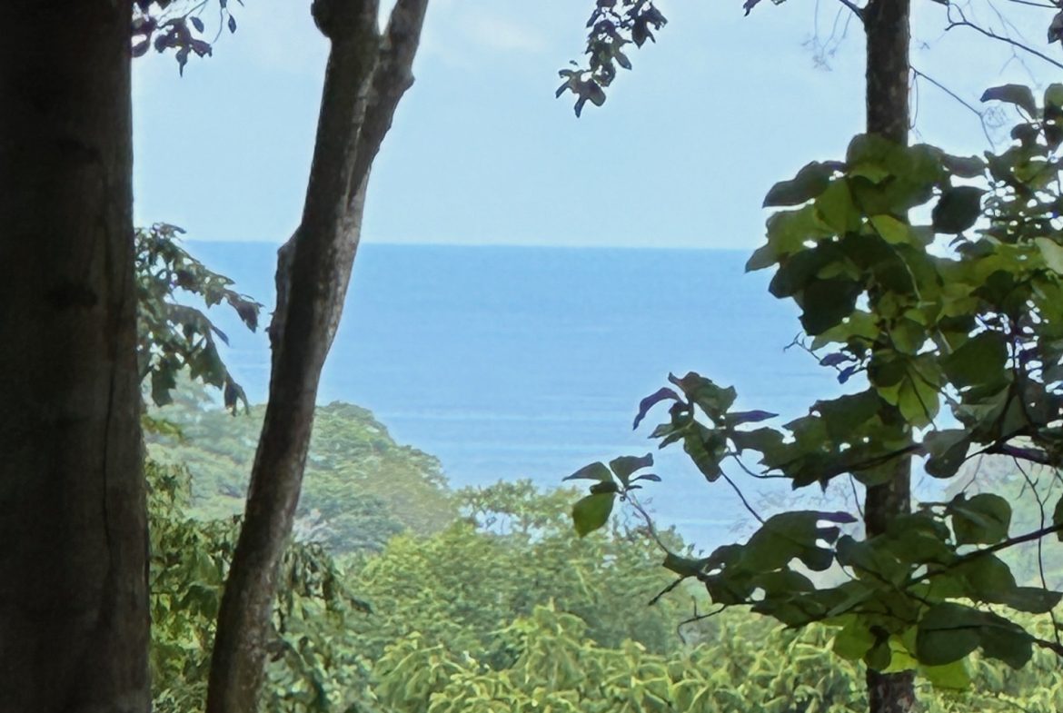 BUILDING PROPERTY WITH CREEK AND MOUNTAIN VIEWS, IN DOMINICAL – 8.8 ACRES
