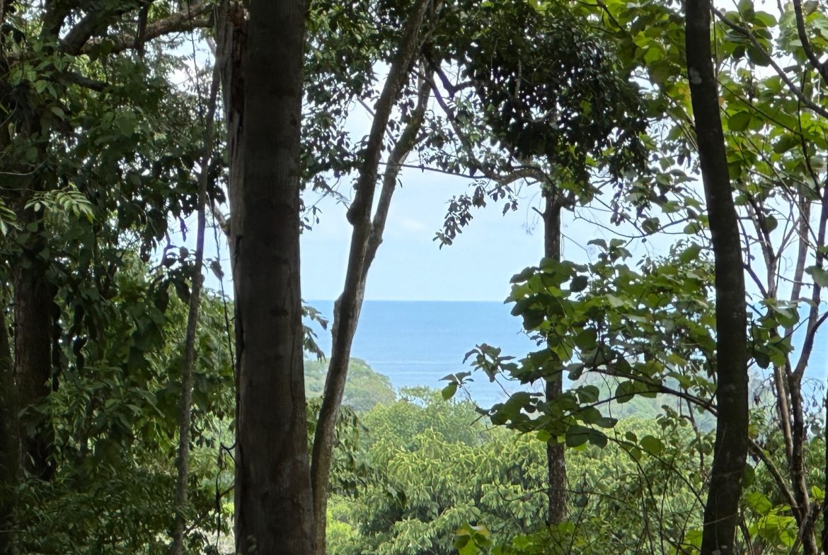 BUILDING PROPERTY WITH CREEK AND MOUNTAIN VIEWS, IN DOMINICAL – 8.8 ACRES