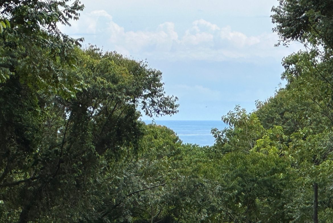 BUILDING PROPERTY WITH CREEK AND MOUNTAIN VIEWS, IN DOMINICAL – 8.8 ACRES