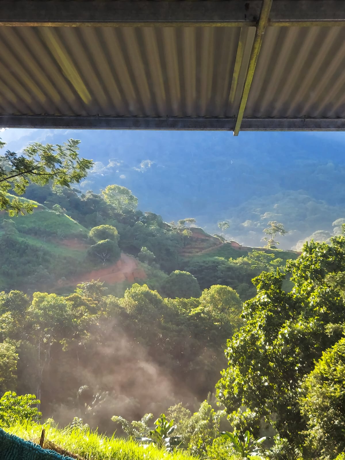 Image 2025-01-16 at 12.21.24 PM