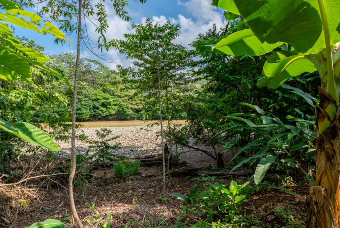 RIVERFRONT VILLA PROPERTY IN DOMINICAL – 0.59 ACRES