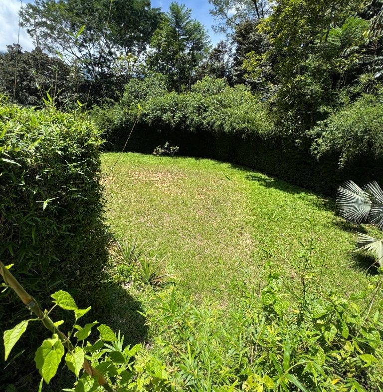 PROPERTY OF ONE BEDROOM HOME WITH POOL, IN OJOCHAL – 1.12 ACRES
