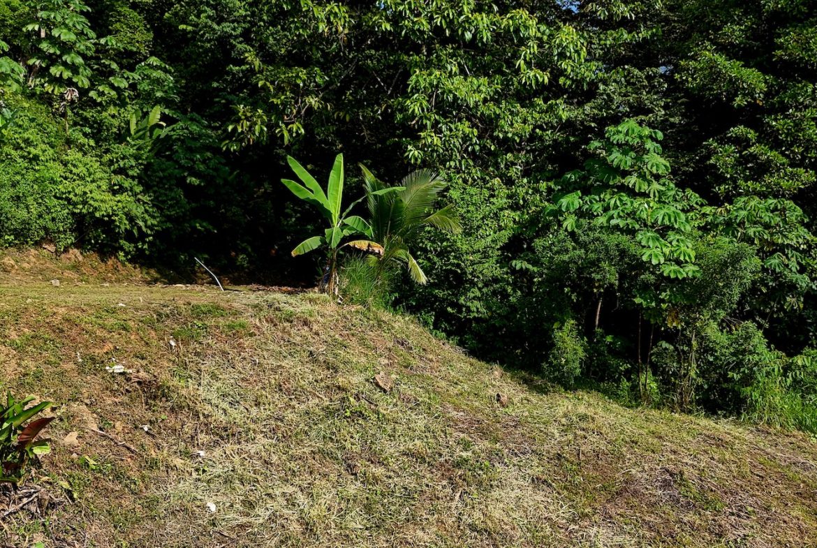 BUILDING PROPERTY WITH MOUNTAIN VIEWS, IN TRES RIOS – 0.47 ACRES