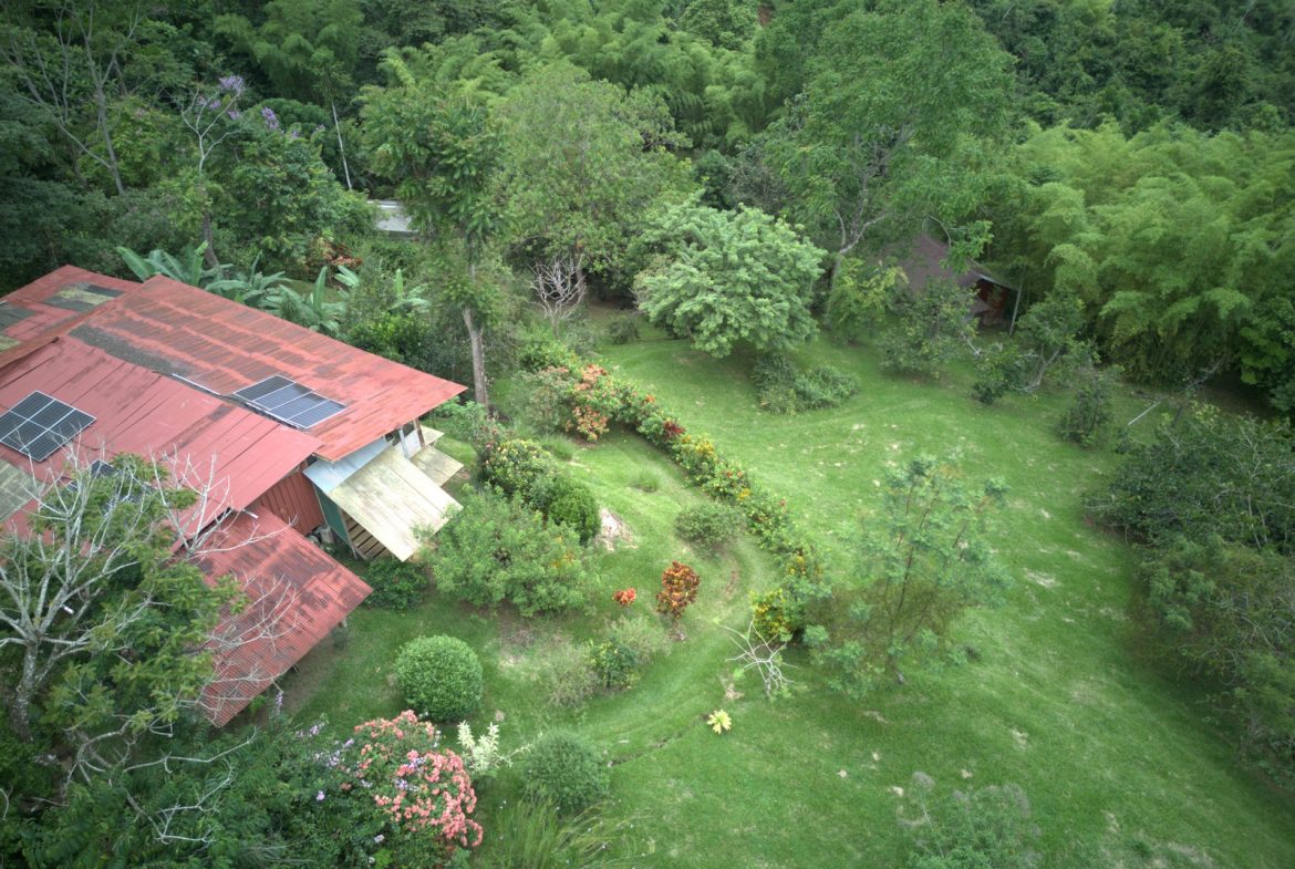 TWO FLOOR PROPERTY WITH MOUNTAIN VIEWS AND FRUIT TREES, IN LAS TUMBAS – 5 ACRES, Uvita, Costa Rica — photo 3