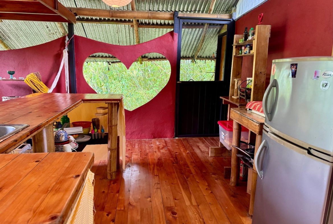 TWO FLOOR PROPERTY WITH MOUNTAIN VIEWS AND FRUIT TREES, IN LAS TUMBAS – 5 ACRES, Uvita, Costa Rica — photo 8