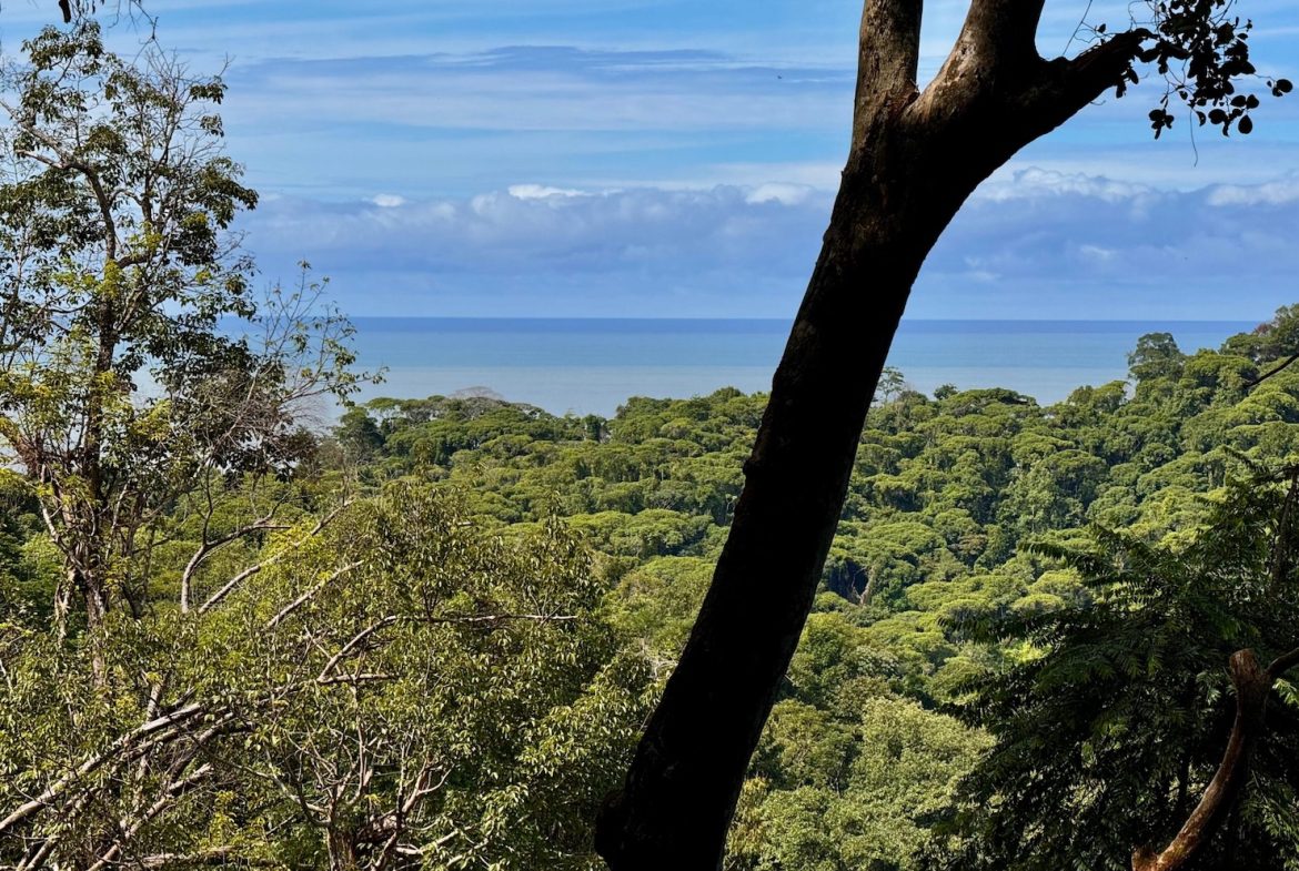 BUILDING PROPERTY WITH OCEAN VIEWS, IN CINCO VENTANAS – 7 ACRES