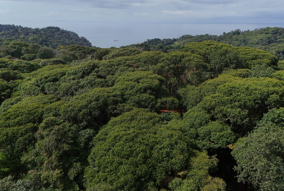 BUILDING PROPERTY WITH OCEAN VIEWS, IN CINCO VENTANAS – 7 ACRES