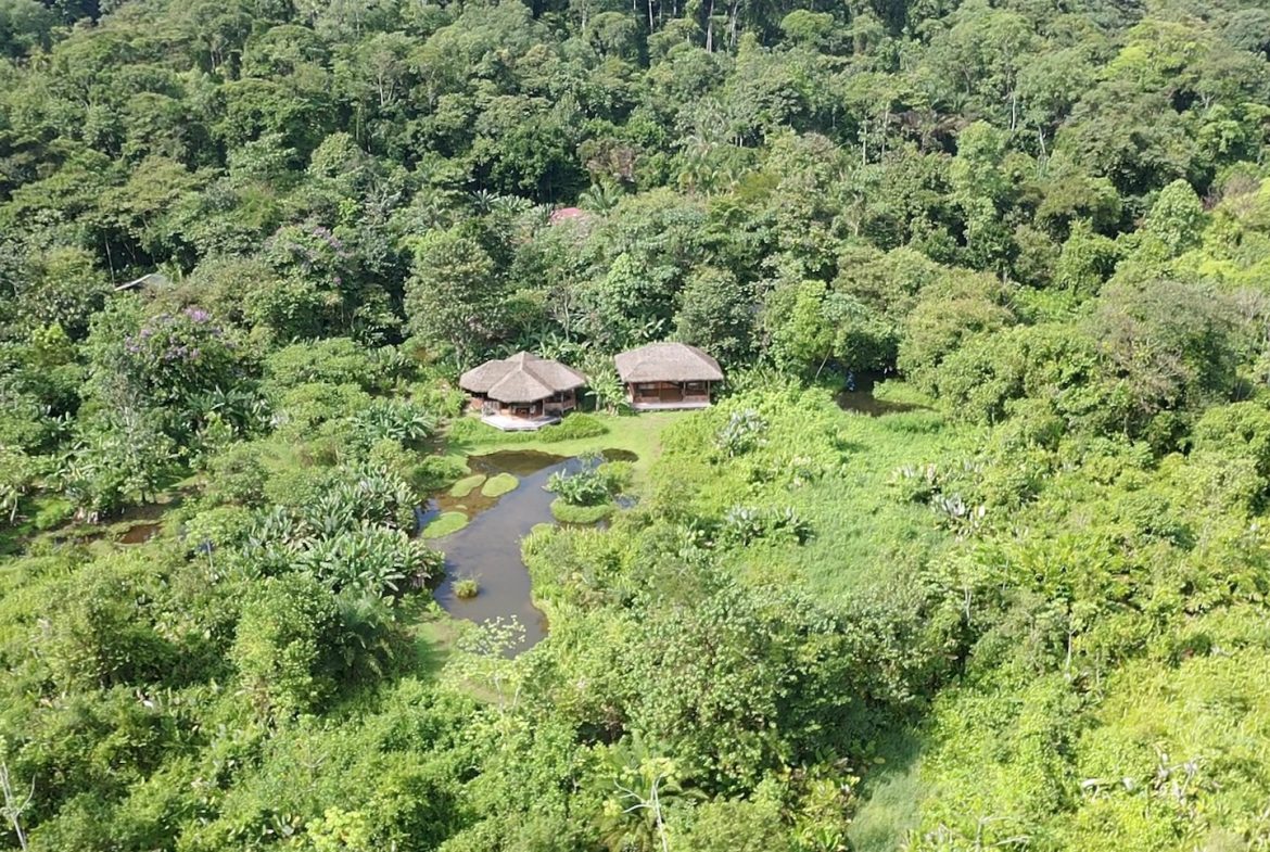 TWO CABINS PROPERTY WITH SIX BEDROOM HOME, IN GAMBA GOLFITO – 62 ACRES, Uvita, Costa Rica — photo 7