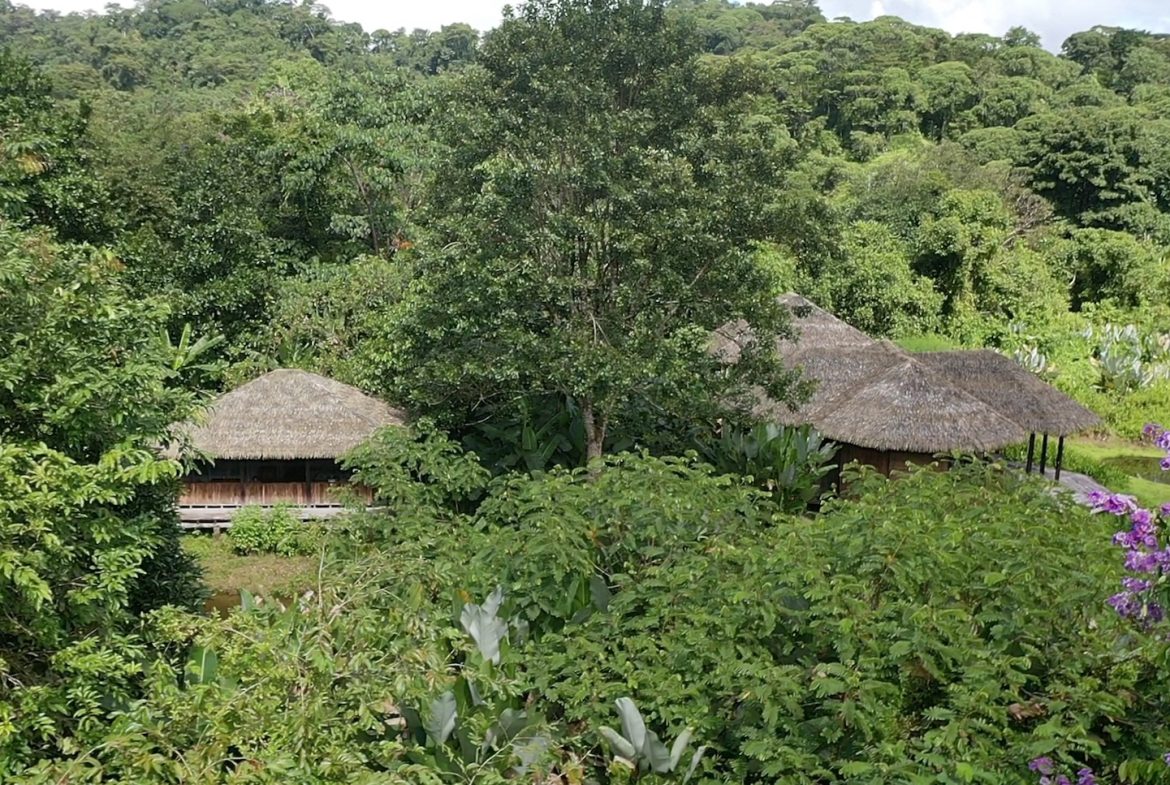 TWO CABINS PROPERTY WITH SIX BEDROOM HOME, IN GAMBA GOLFITO – 62 ACRES, Uvita, Costa Rica — photo 2
