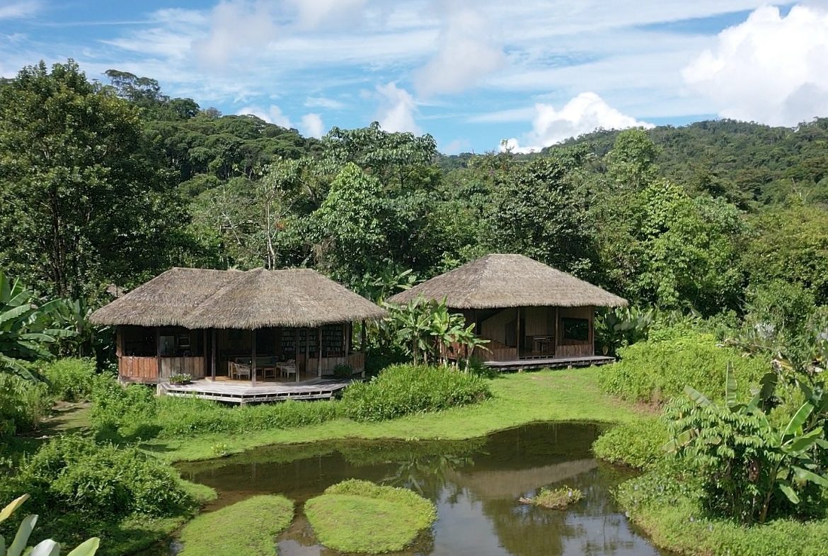 TWO CABINS PROPERTY WITH SIX BEDROOM HOME, IN GAMBA GOLFITO – 62 ACRES, Uvita, Costa Rica — photo 3
