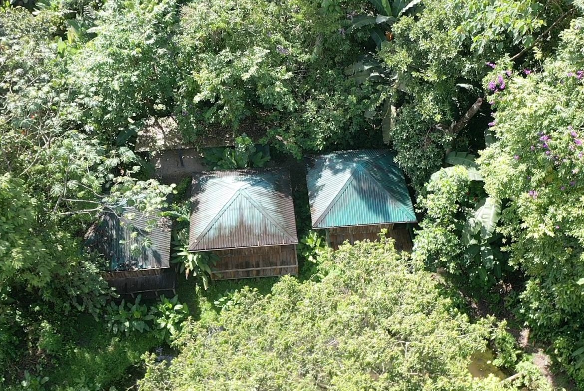TWO CABINS PROPERTY WITH SIX BEDROOM HOME, IN GAMBA GOLFITO – 62 ACRES, Uvita, Costa Rica — photo 4