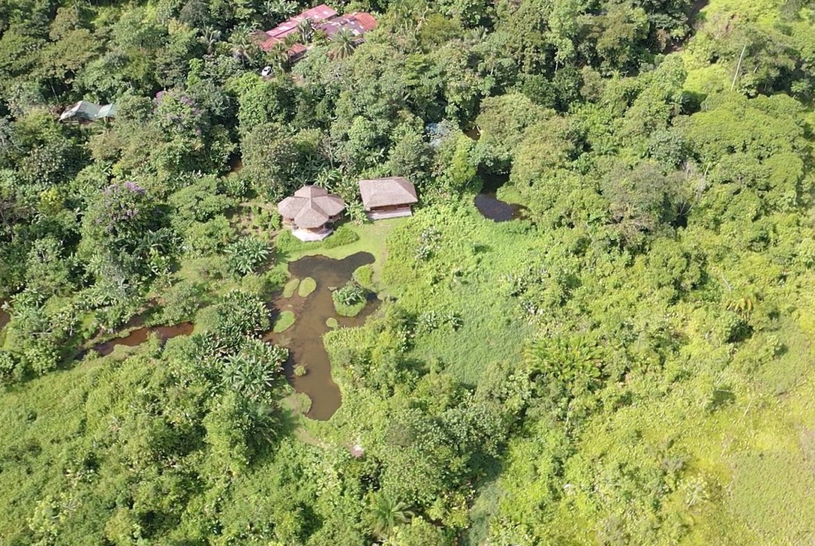 TWO CABINS PROPERTY WITH SIX BEDROOM HOME, IN GAMBA GOLFITO – 62 ACRES, Uvita, Costa Rica — photo 6