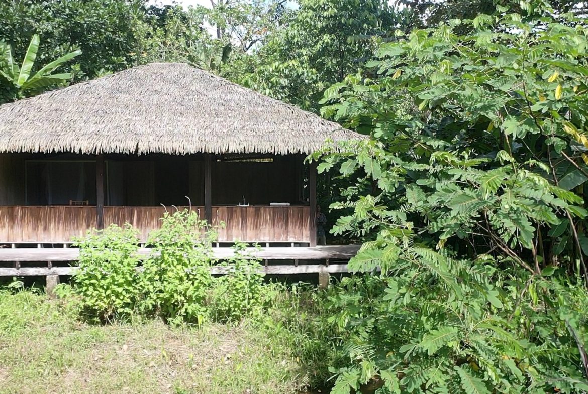 TWO CABINS PROPERTY WITH SIX BEDROOM HOME, IN GAMBA GOLFITO – 62 ACRES, Uvita, Costa Rica — photo 8