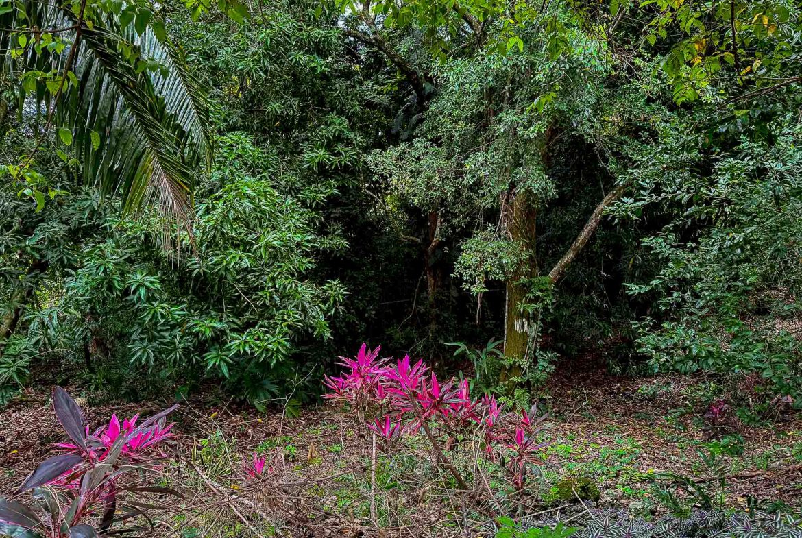 JUNGLE PROPERTY IN GATED COMMUNITY, IN QUEPOS – 0.15 ACRES