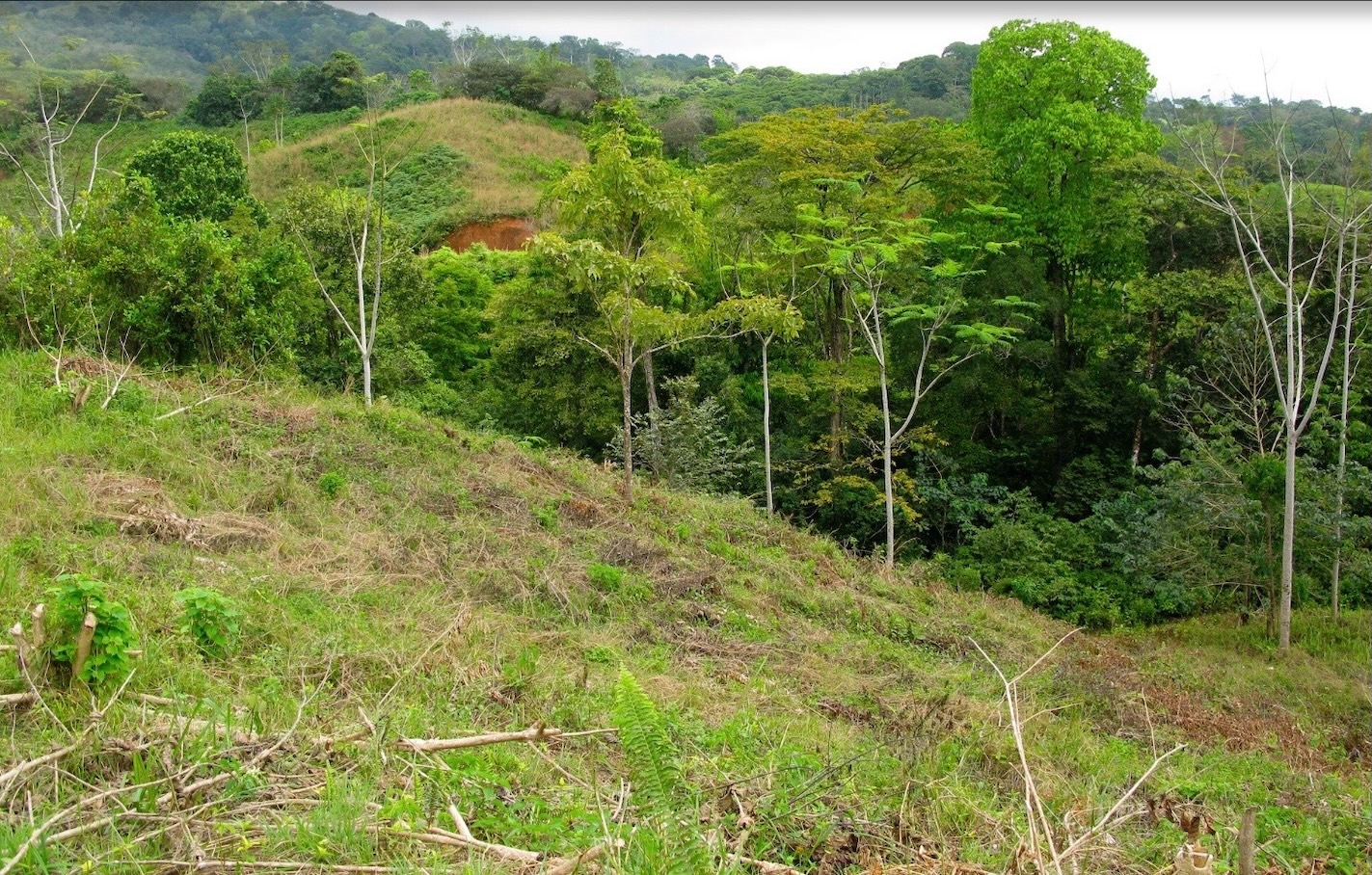 0000abddj1f21ec192-7a13-488d-8f30-d9a97e2f3c04