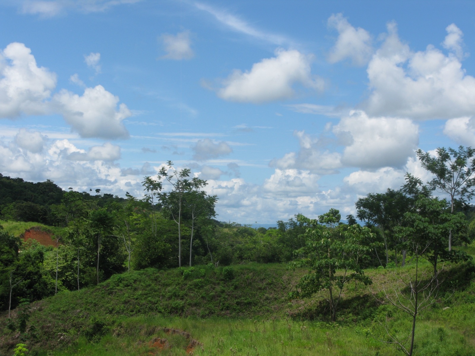 0000af46e8dbc-cf72-43bb-82da-7e9844d20bb2