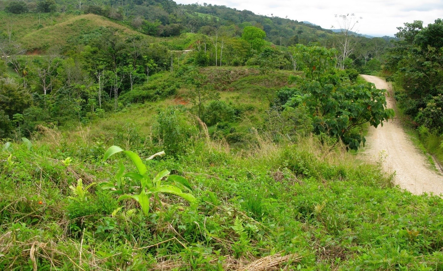 0000b00c0ecaf-375e-4ba4-af22-c8d2de93c5e7