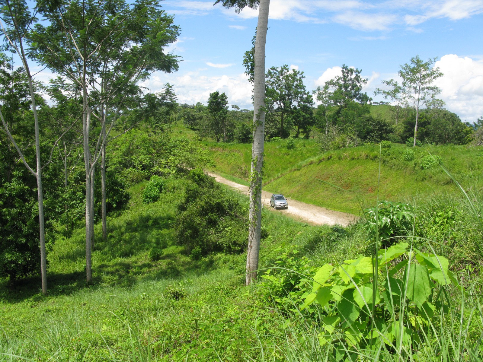 0000k9a41742a-6ff6-4ed7-b846-3effdc9c32ff