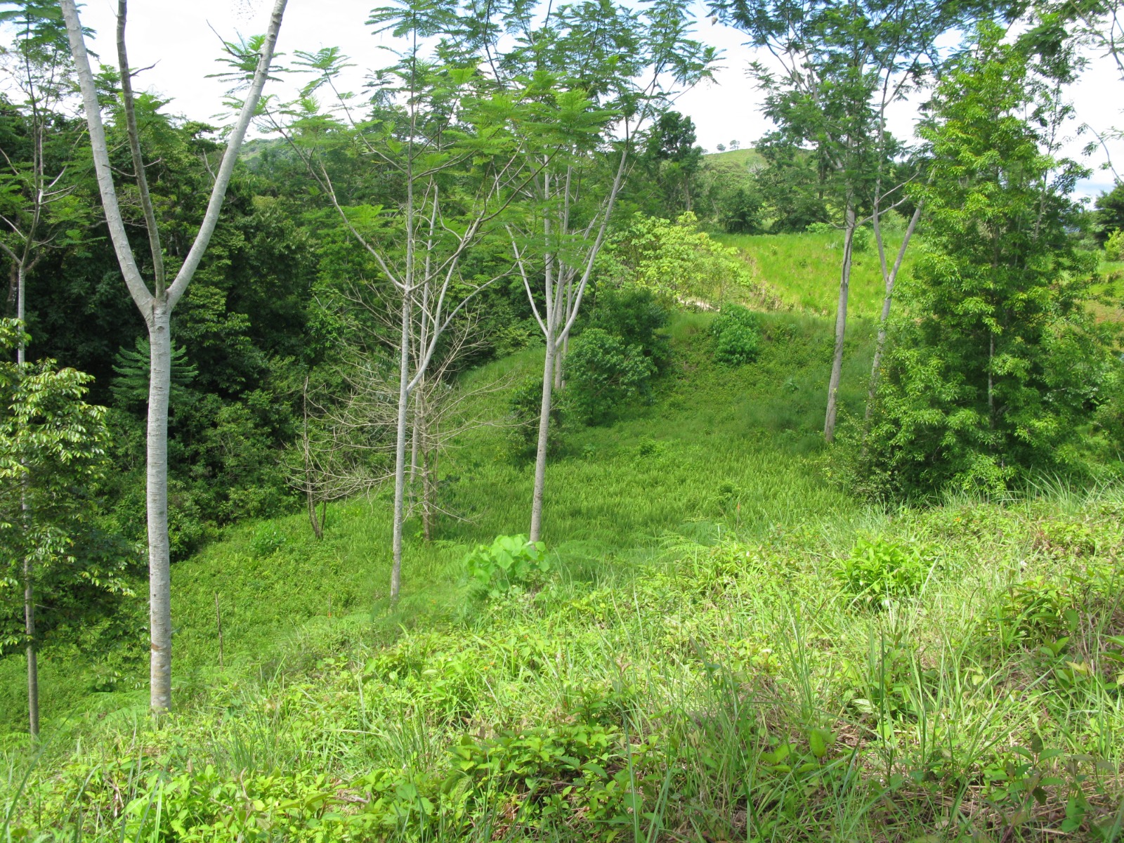 0000o165dcf3e-afb8-4b0c-a246-ecb9db581802