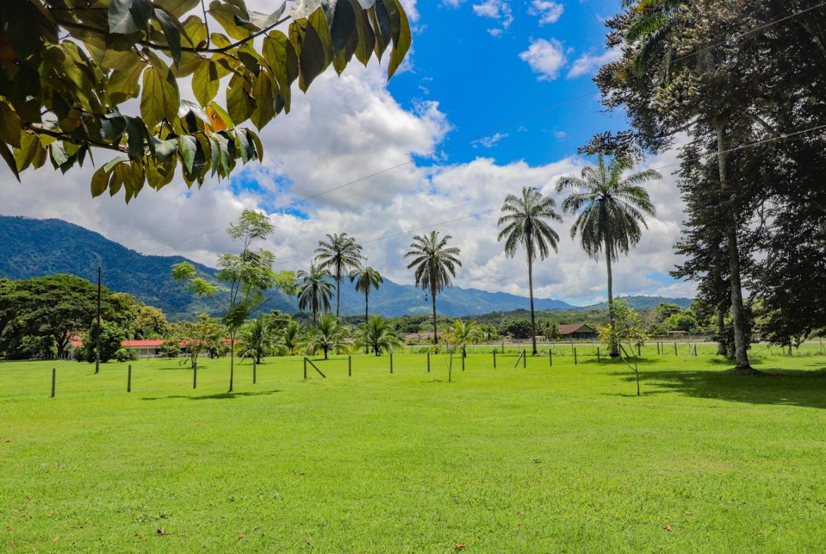 LANDSCAPE PROPERTY WITH MOUNTAIN VIEWS, IN PALMAR SUR – 3.7 ACRES