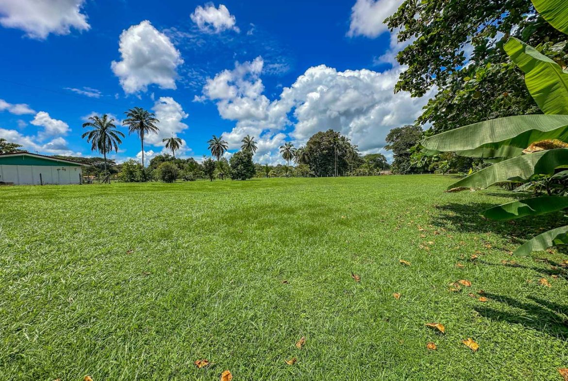 LANDSCAPE PROPERTY WITH MOUNTAIN VIEWS, IN PALMAR SUR – 3.7 ACRES