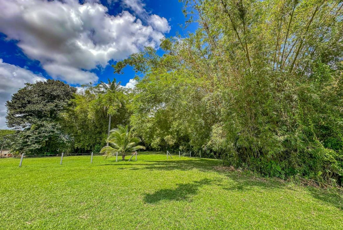 LANDSCAPE PROPERTY WITH MOUNTAIN VIEWS, IN PALMAR SUR – 3.7 ACRES