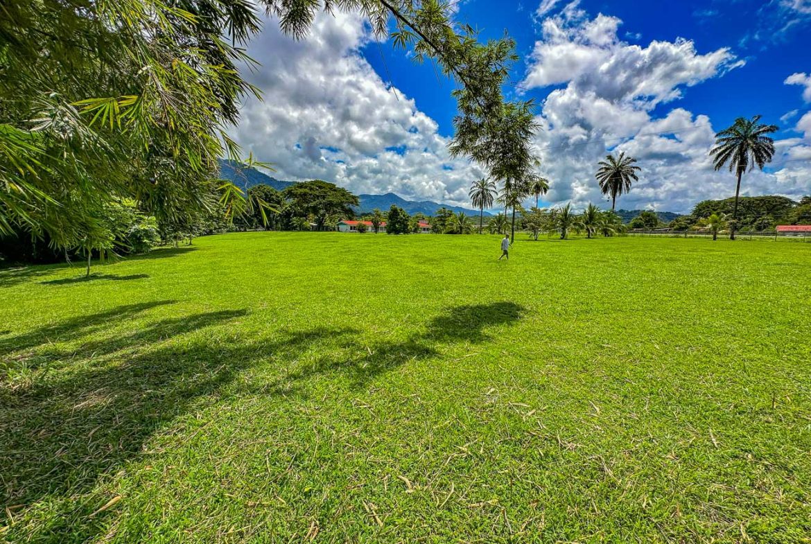 LANDSCAPE PROPERTY WITH MOUNTAIN VIEWS, IN PALMAR SUR – 3.7 ACRES