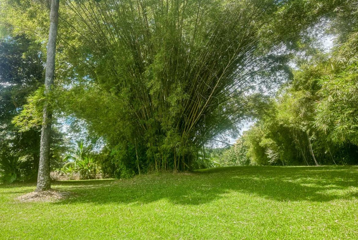 LANDSCAPE PROPERTY WITH MOUNTAIN VIEWS, IN PALMAR SUR – 3.7 ACRES