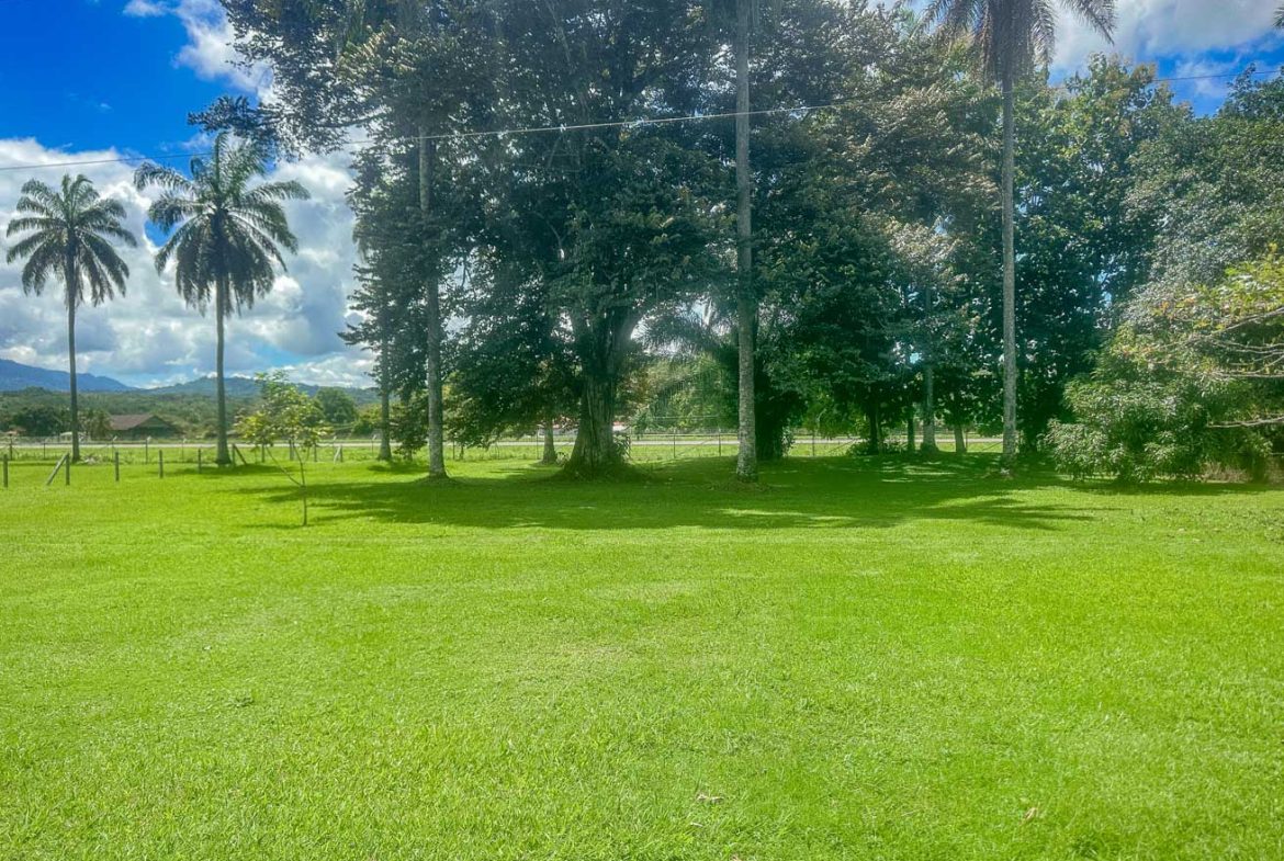 LANDSCAPE PROPERTY WITH MOUNTAIN VIEWS, IN PALMAR SUR – 3.7 ACRES