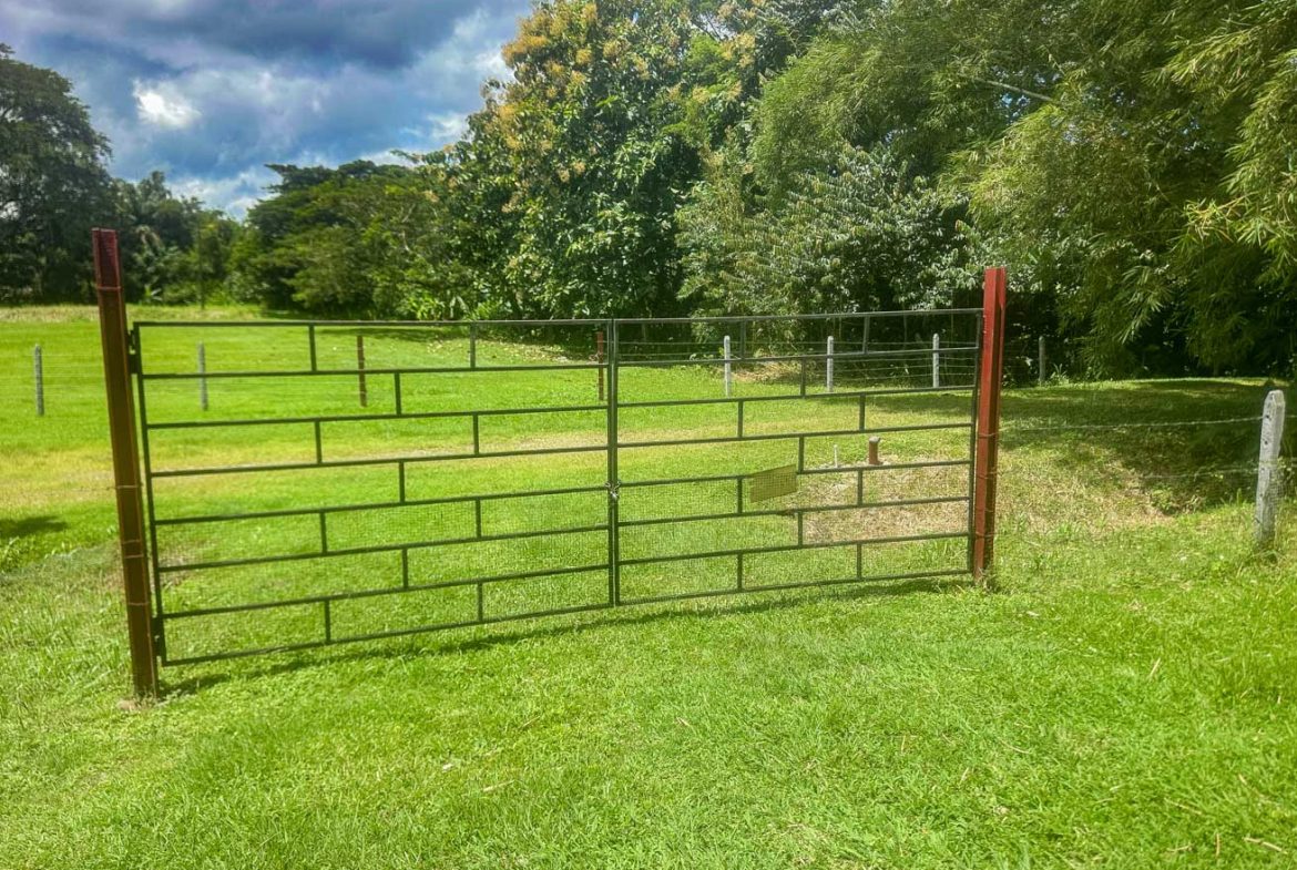 LANDSCAPE PROPERTY WITH MOUNTAIN VIEWS, IN PALMAR SUR – 3.7 ACRES