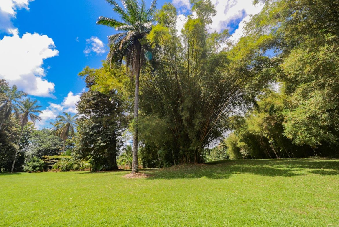 LANDSCAPE PROPERTY WITH MOUNTAIN VIEWS, IN PALMAR SUR – 3.7 ACRES