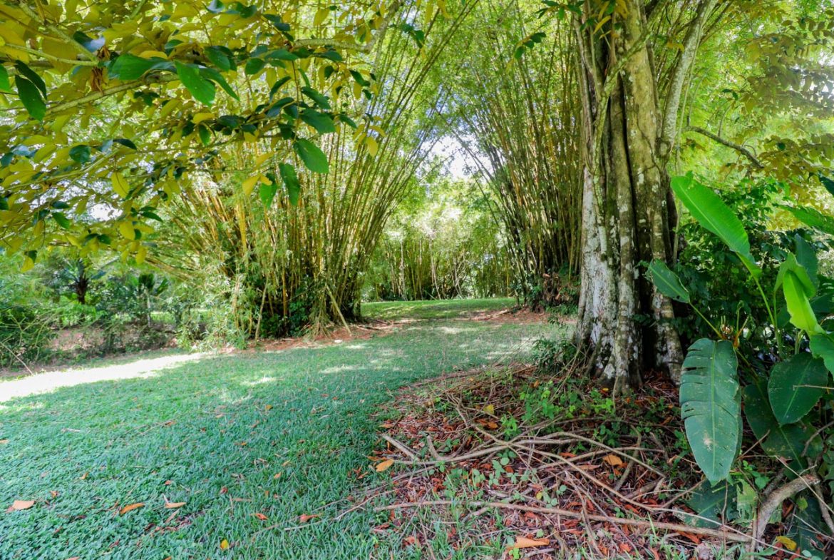 LANDSCAPE PROPERTY WITH MOUNTAIN VIEWS, IN PALMAR SUR – 3.7 ACRES