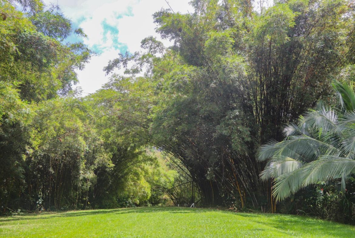LANDSCAPE PROPERTY WITH MOUNTAIN VIEWS, IN PALMAR SUR – 3.7 ACRES