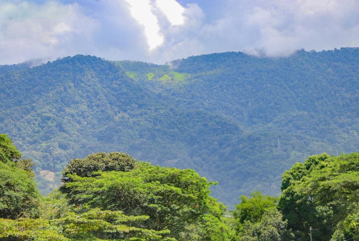LANDSCAPE PROPERTY WITH MOUNTAIN VIEWS, IN PALMAR SUR – 3.7 ACRES