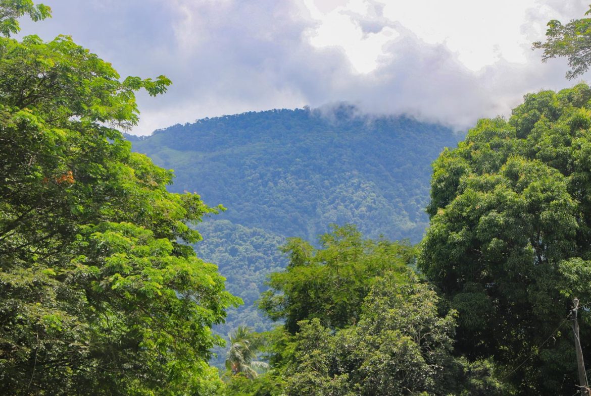 LANDSCAPE PROPERTY WITH MOUNTAIN VIEWS, IN PALMAR SUR – 3.7 ACRES