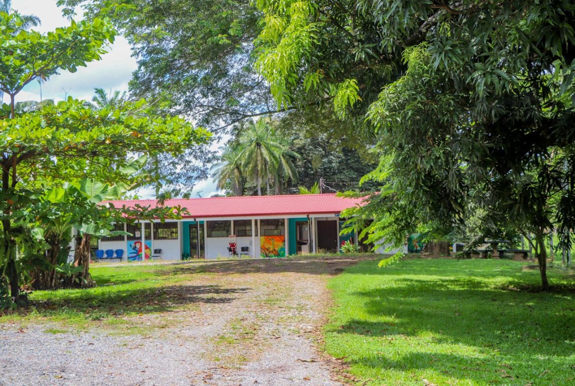 LANDSCAPE PROPERTY WITH MOUNTAIN VIEWS, IN PALMAR SUR – 3.7 ACRES