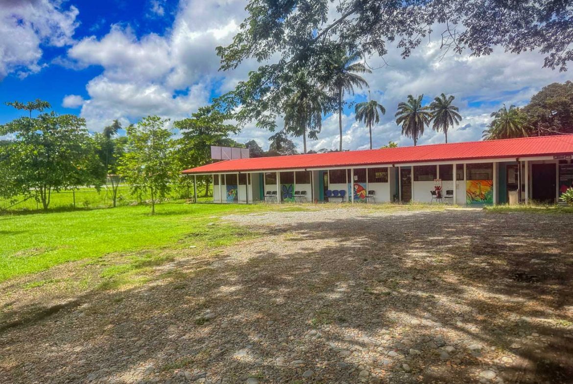 LANDSCAPE PROPERTY WITH MOUNTAIN VIEWS, IN PALMAR SUR – 3.7 ACRES