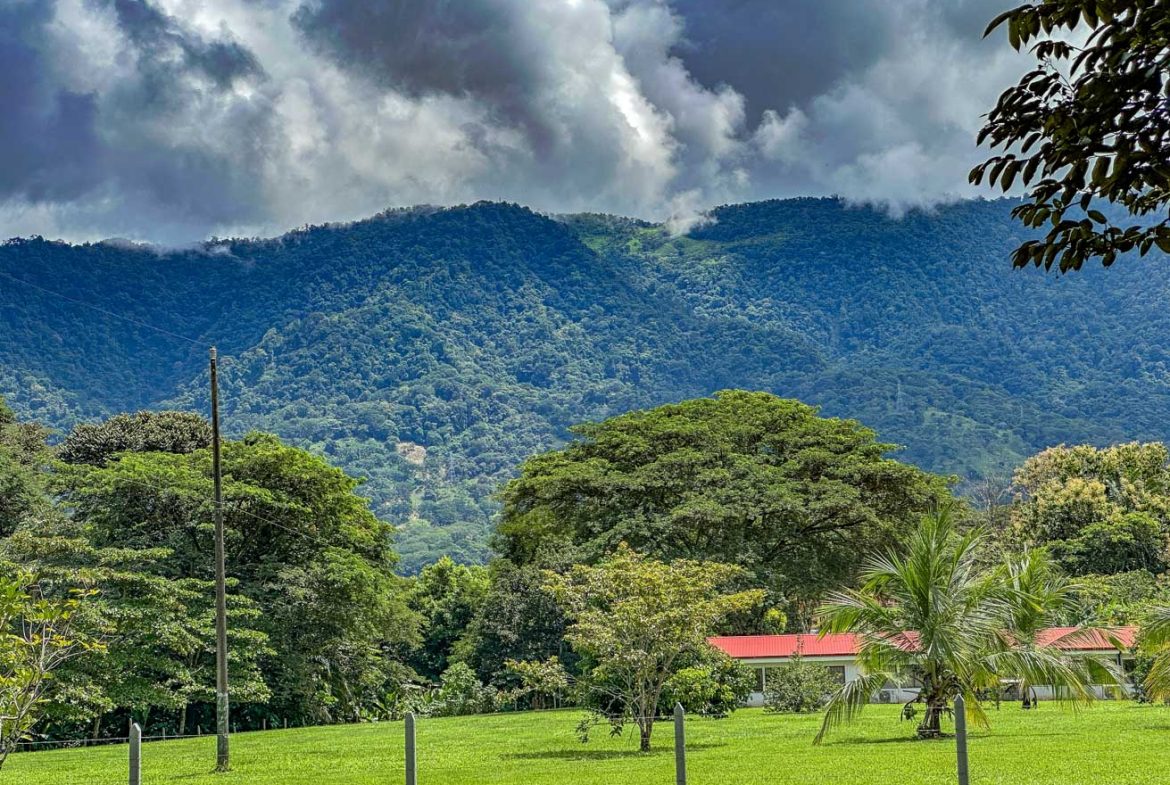 LANDSCAPE PROPERTY WITH MOUNTAIN VIEWS, IN PALMAR SUR – 3.7 ACRES