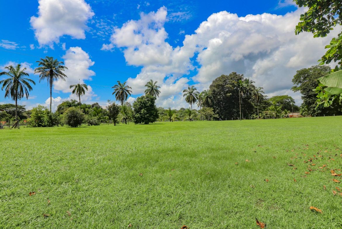 LANDSCAPE PROPERTY WITH MOUNTAIN VIEWS, IN PALMAR SUR – 3.7 ACRES