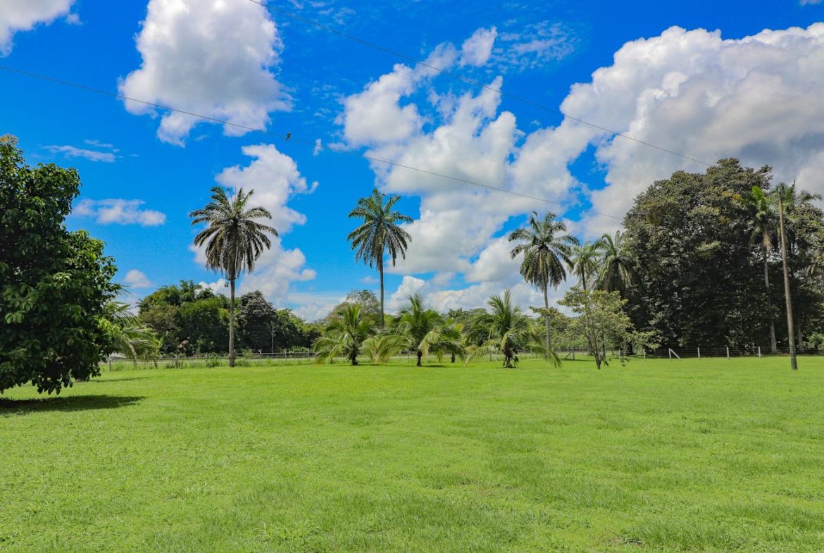 LANDSCAPE PROPERTY WITH MOUNTAIN VIEWS, IN PALMAR SUR – 3.7 ACRES