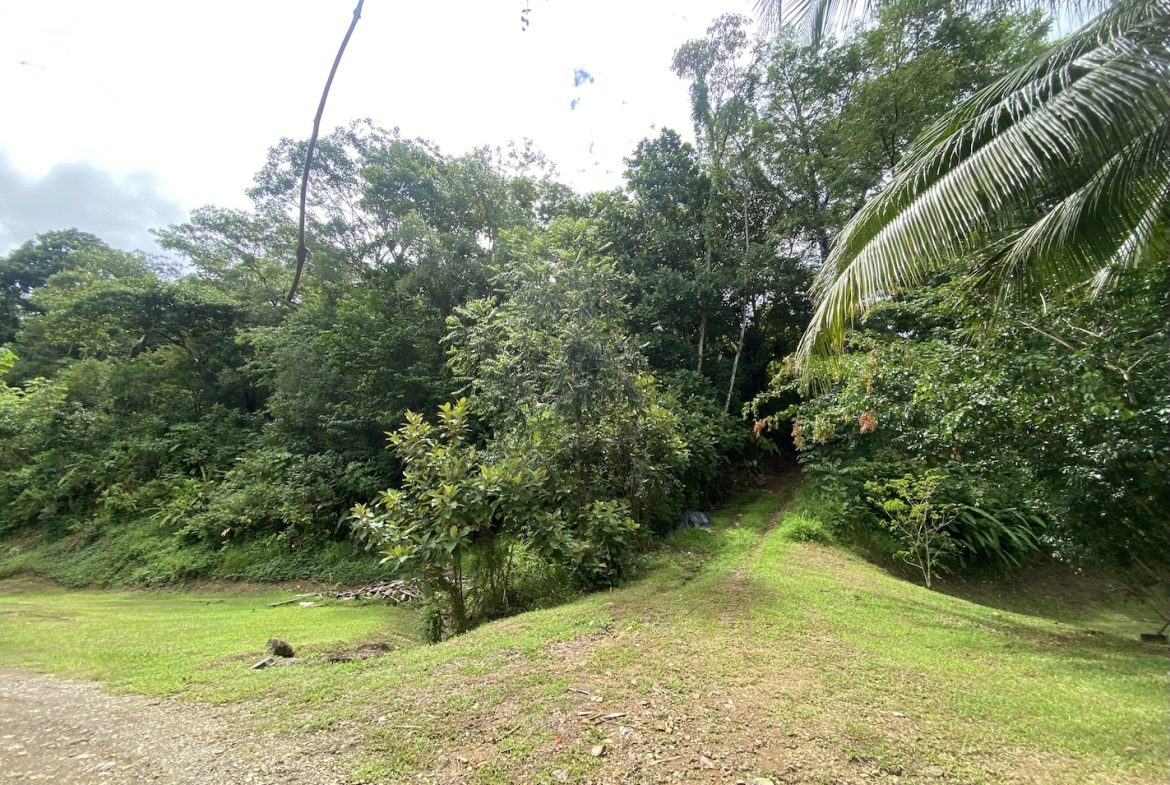 BUILDING JUNGLE PROPERTY WITH TREES VIEWS, IN OJOCHAL – 2.86 ACRES